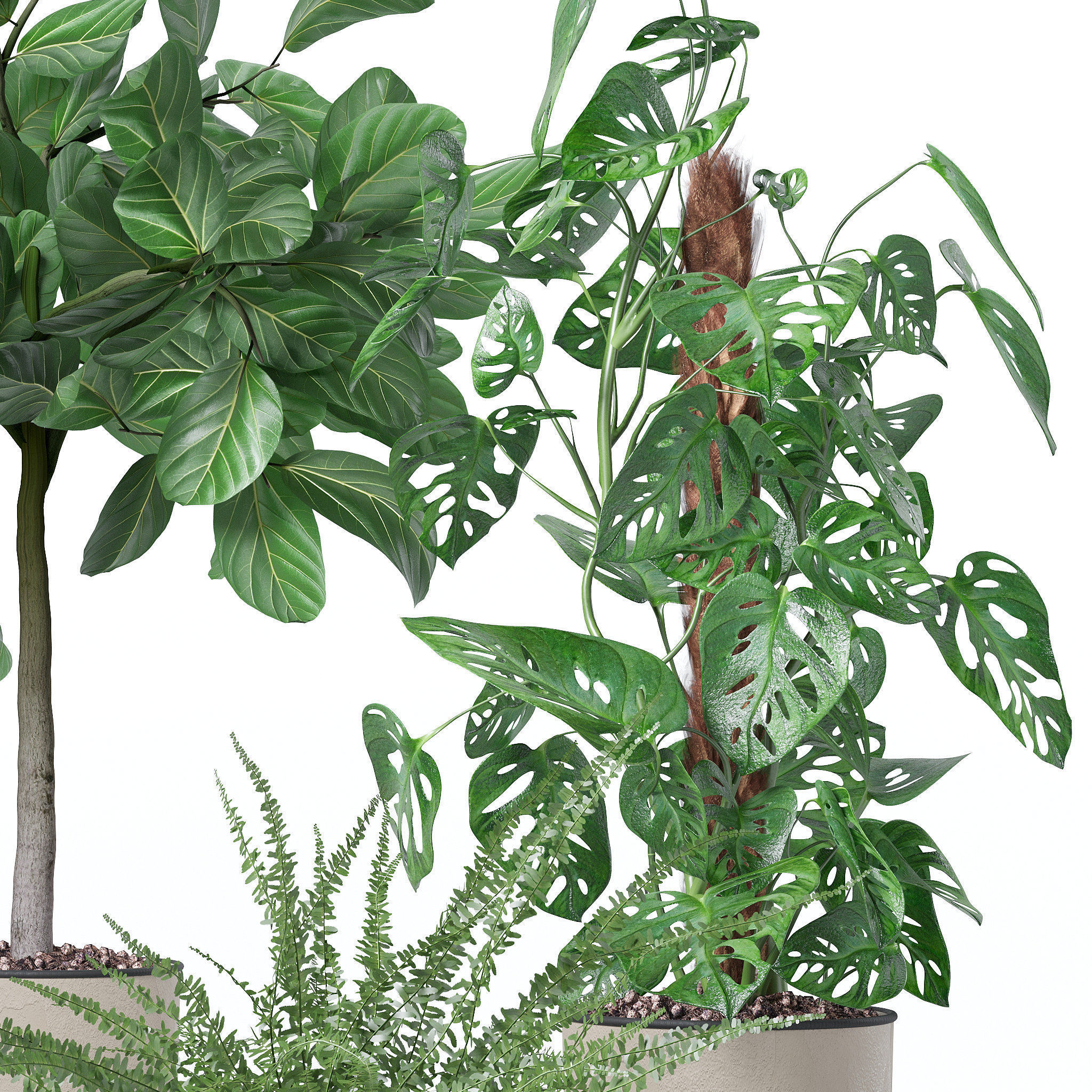 Plants collection 127 3D model_20