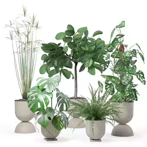 Plants collection 127 3D model