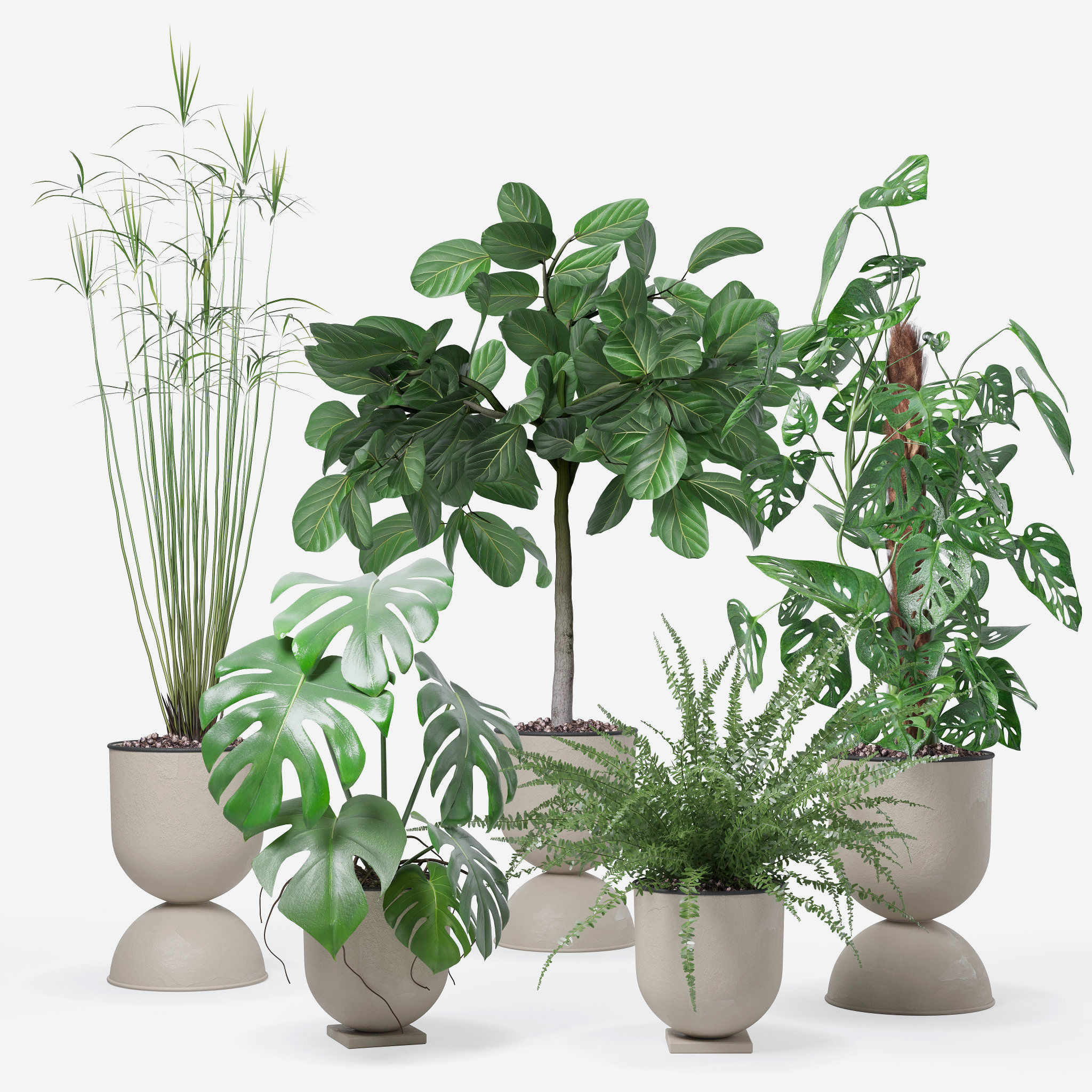 Plants collection 127 3D model_12
