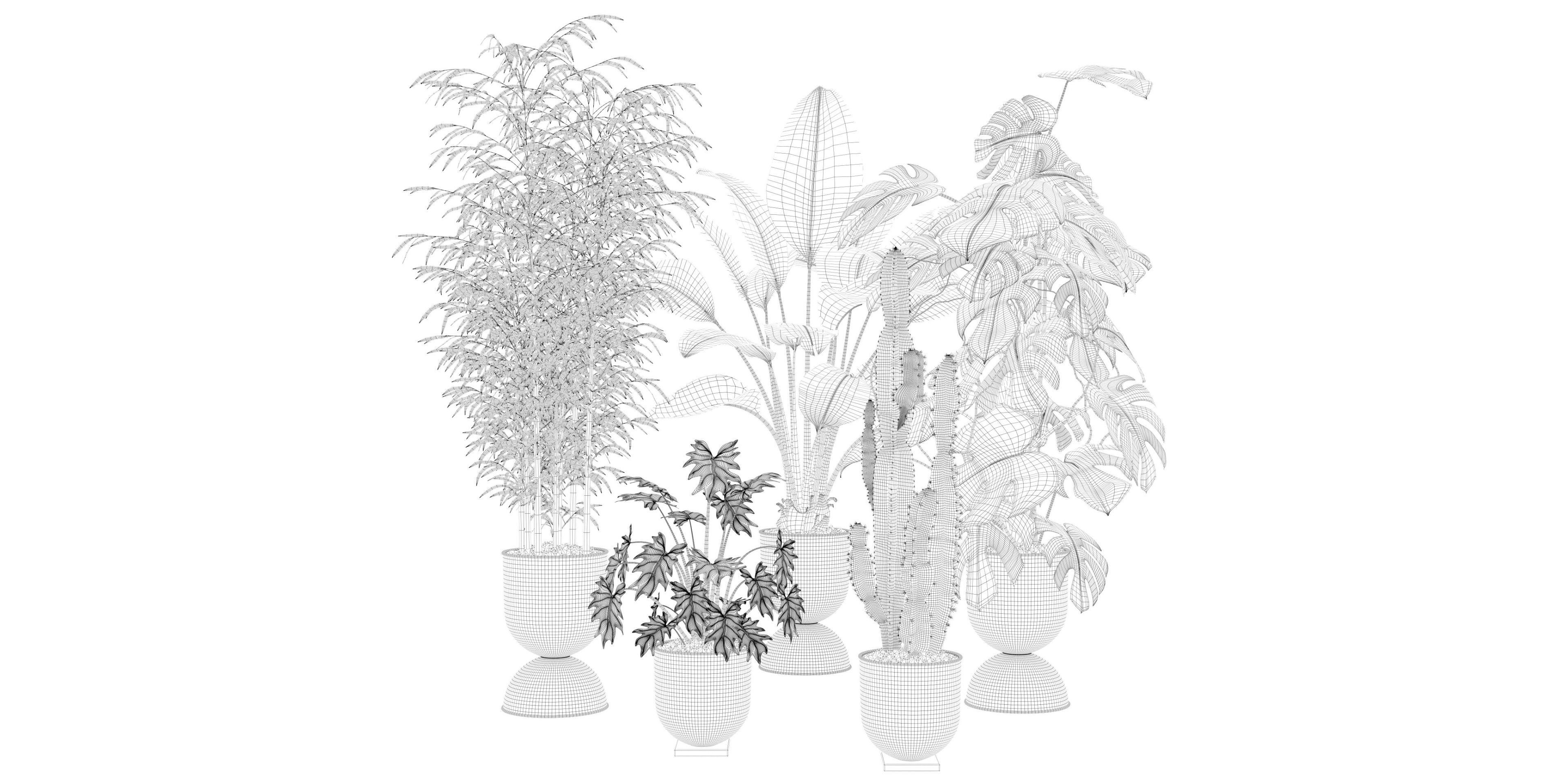 Plants collection 128 3D model_22