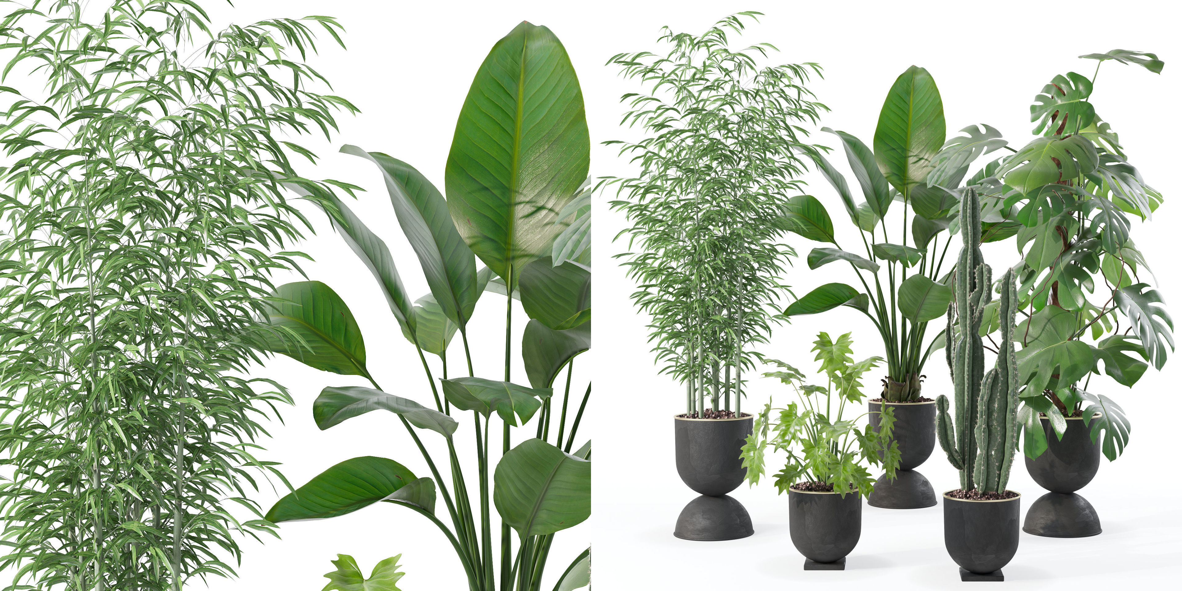 Plants collection 128 3D model_24