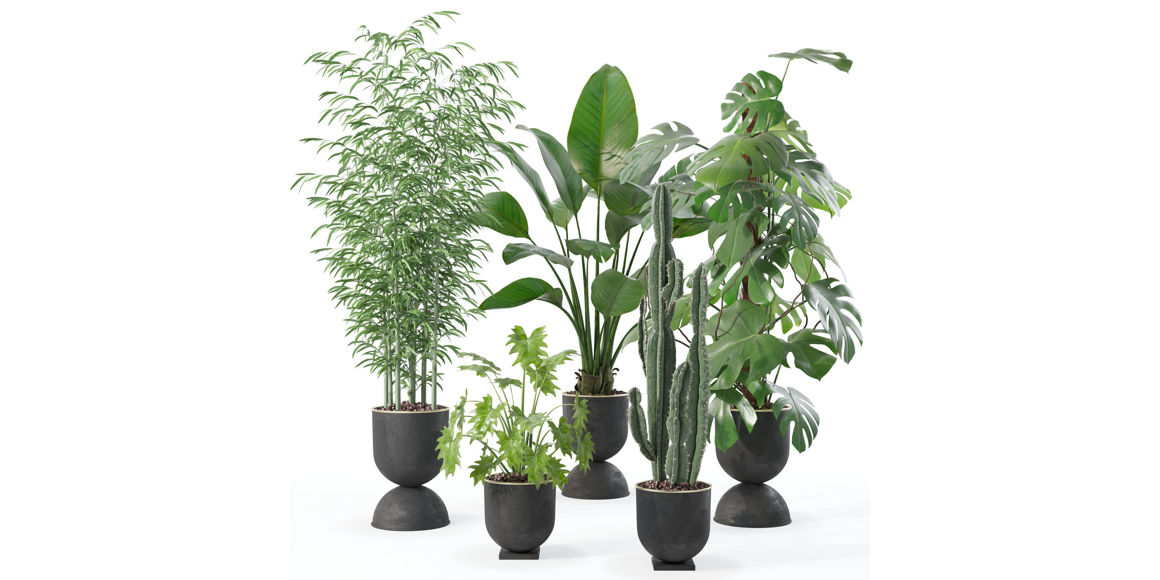 Plants collection 128 3D model_23