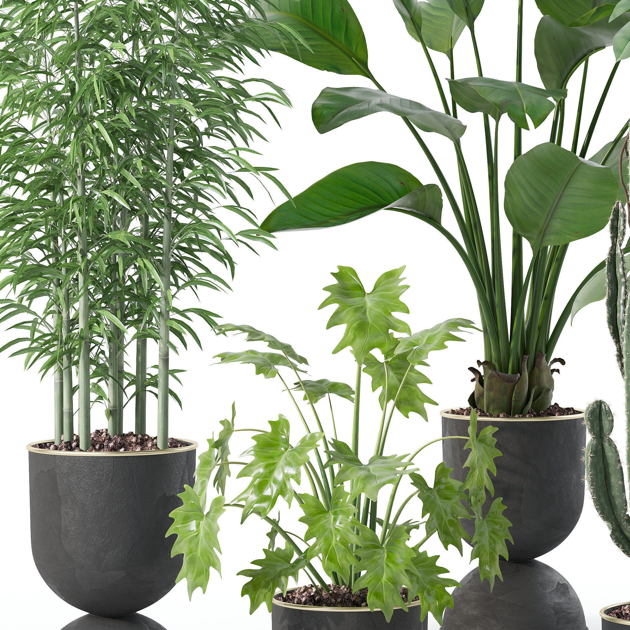 Plants collection 128 3D model_12