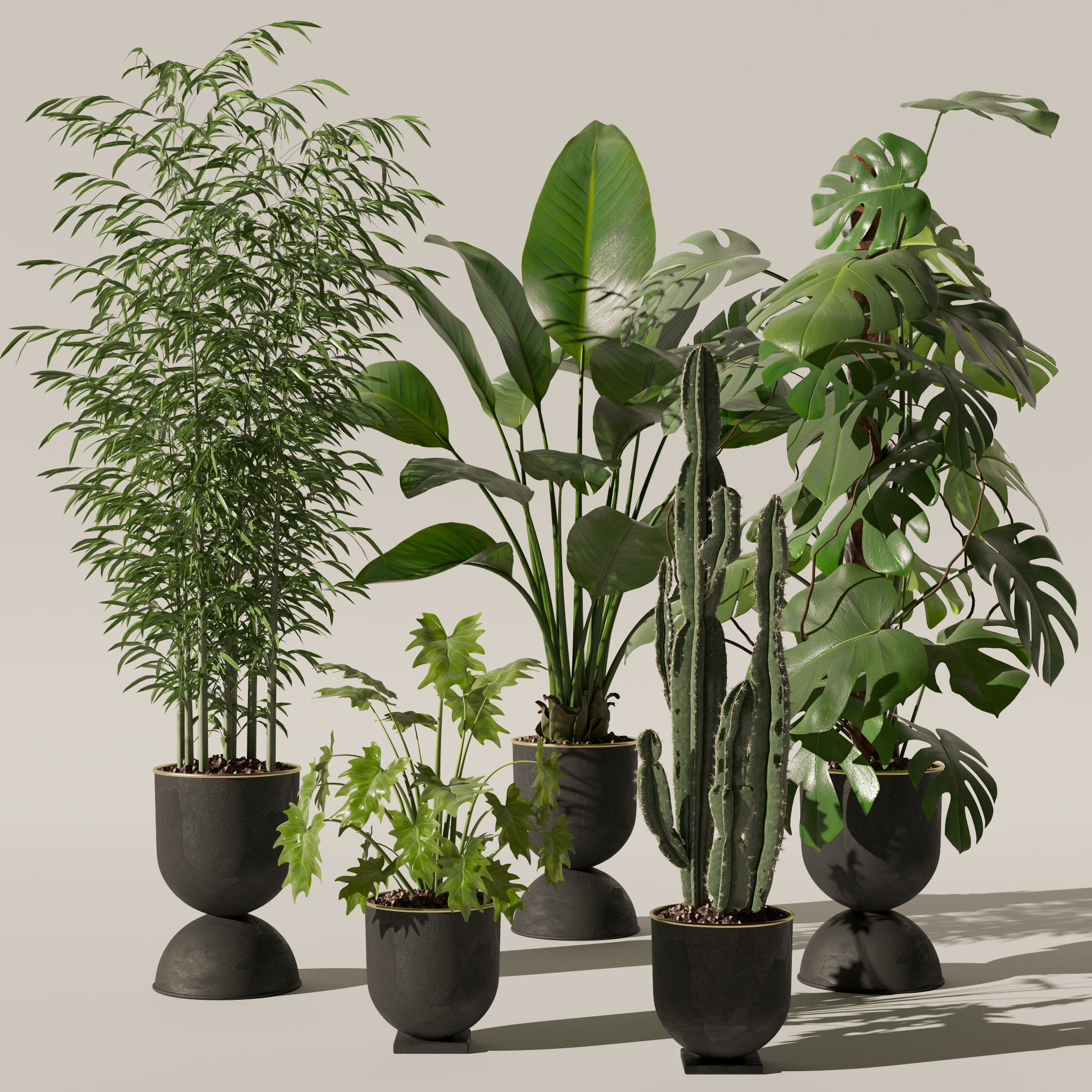 Plants collection 128 3D model_17