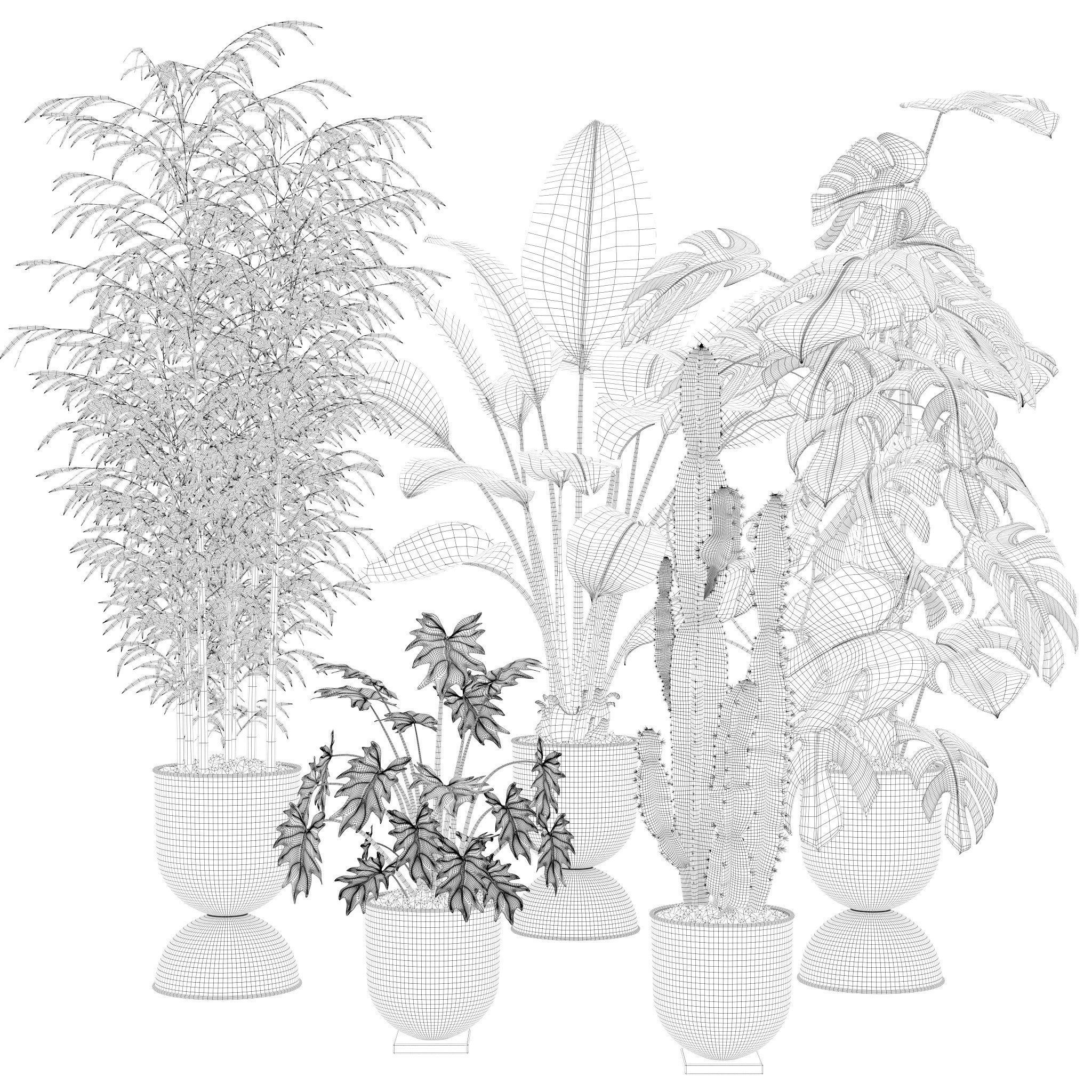 Plants collection 128 3D model_31