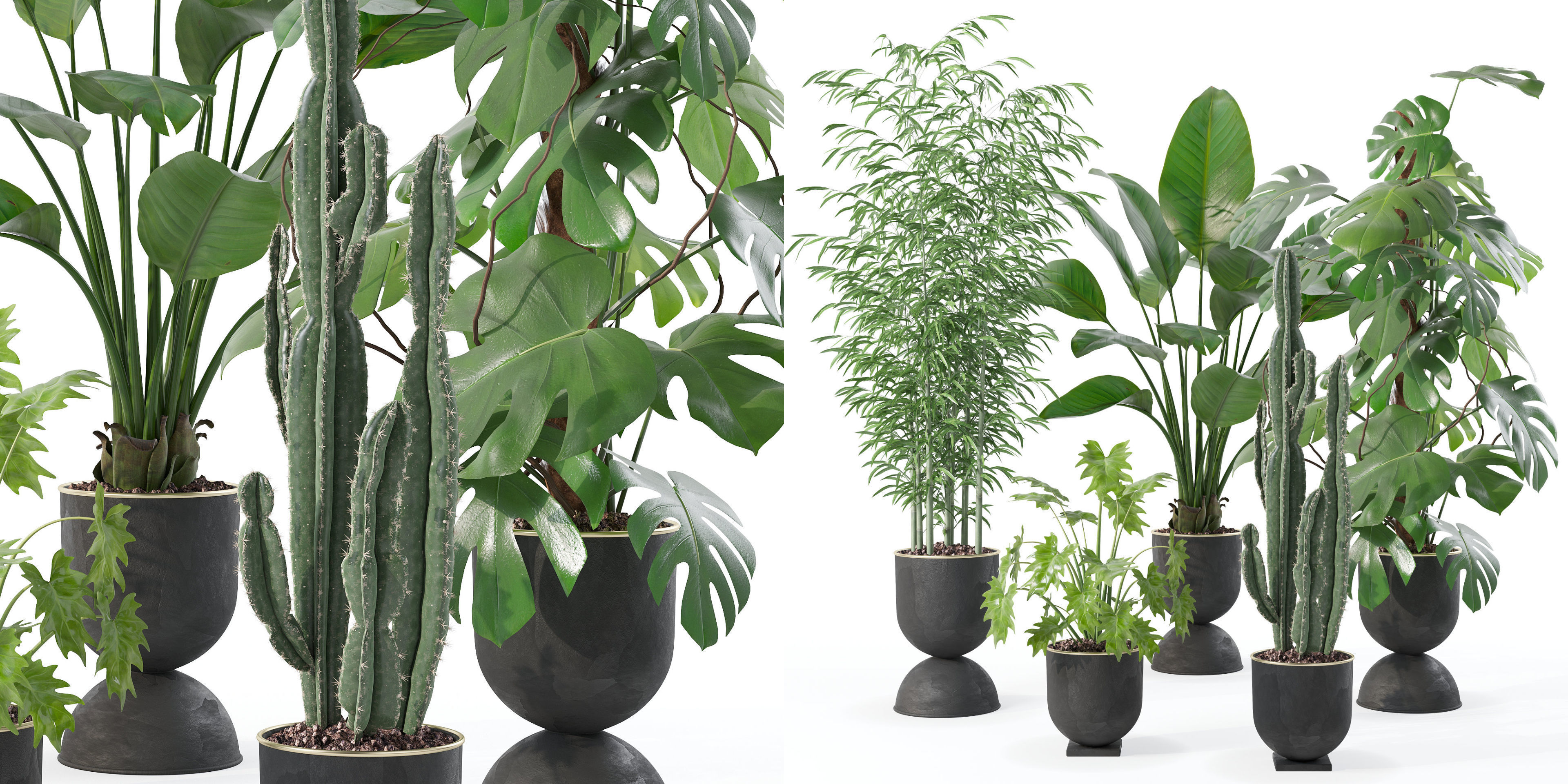 Plants collection 128 3D model_26