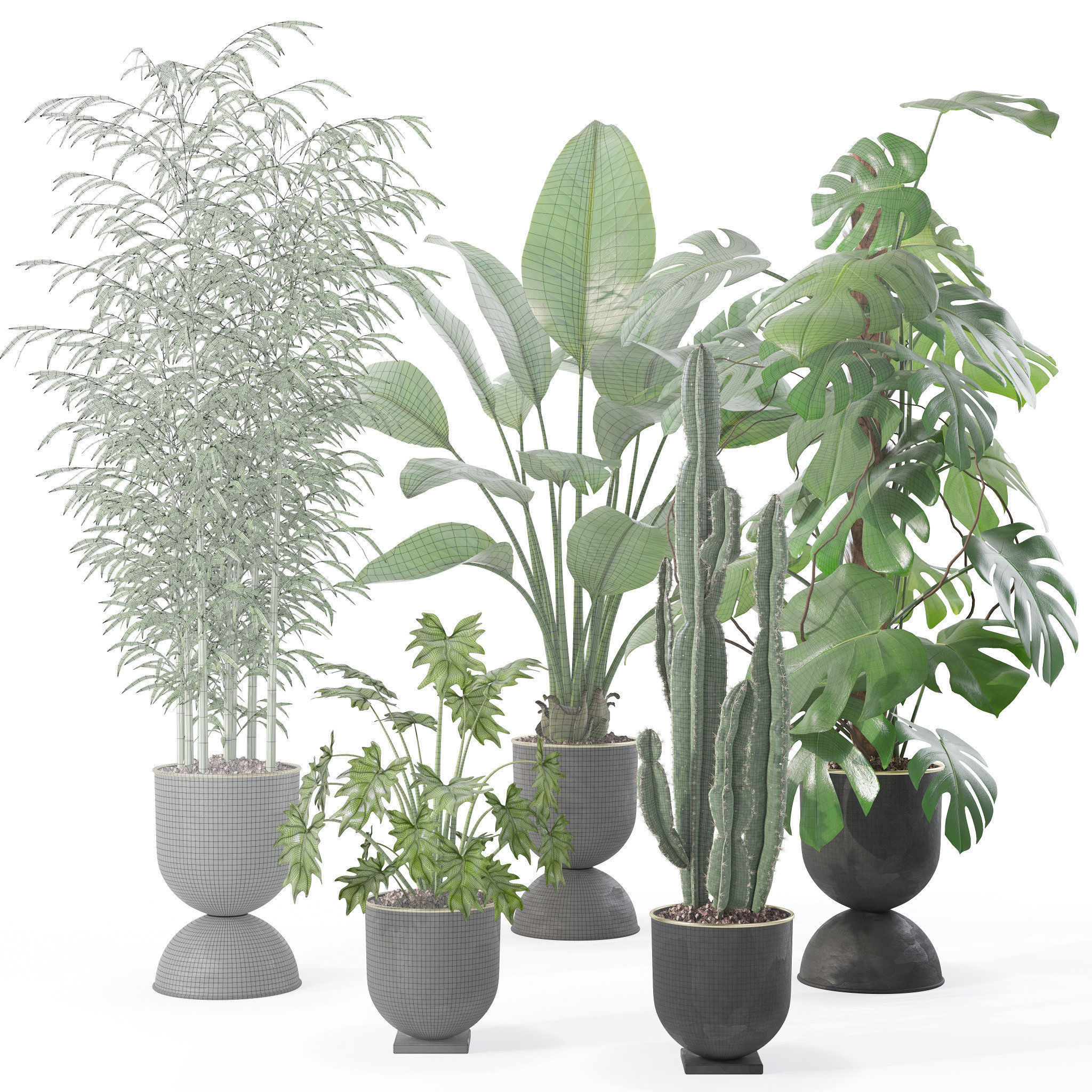 Plants collection 128 3D model_13