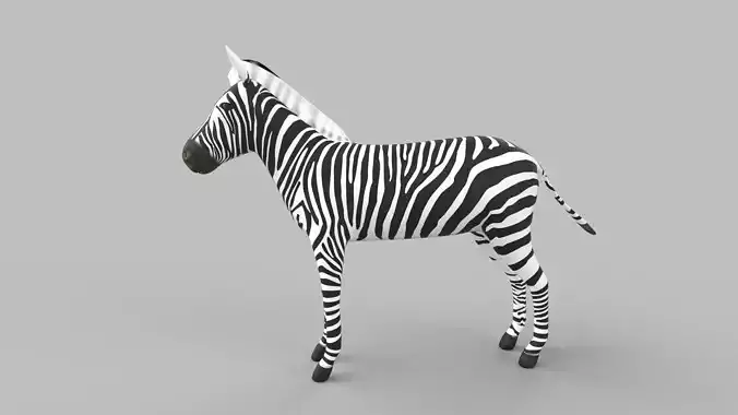 zebra Low-poly 3D model