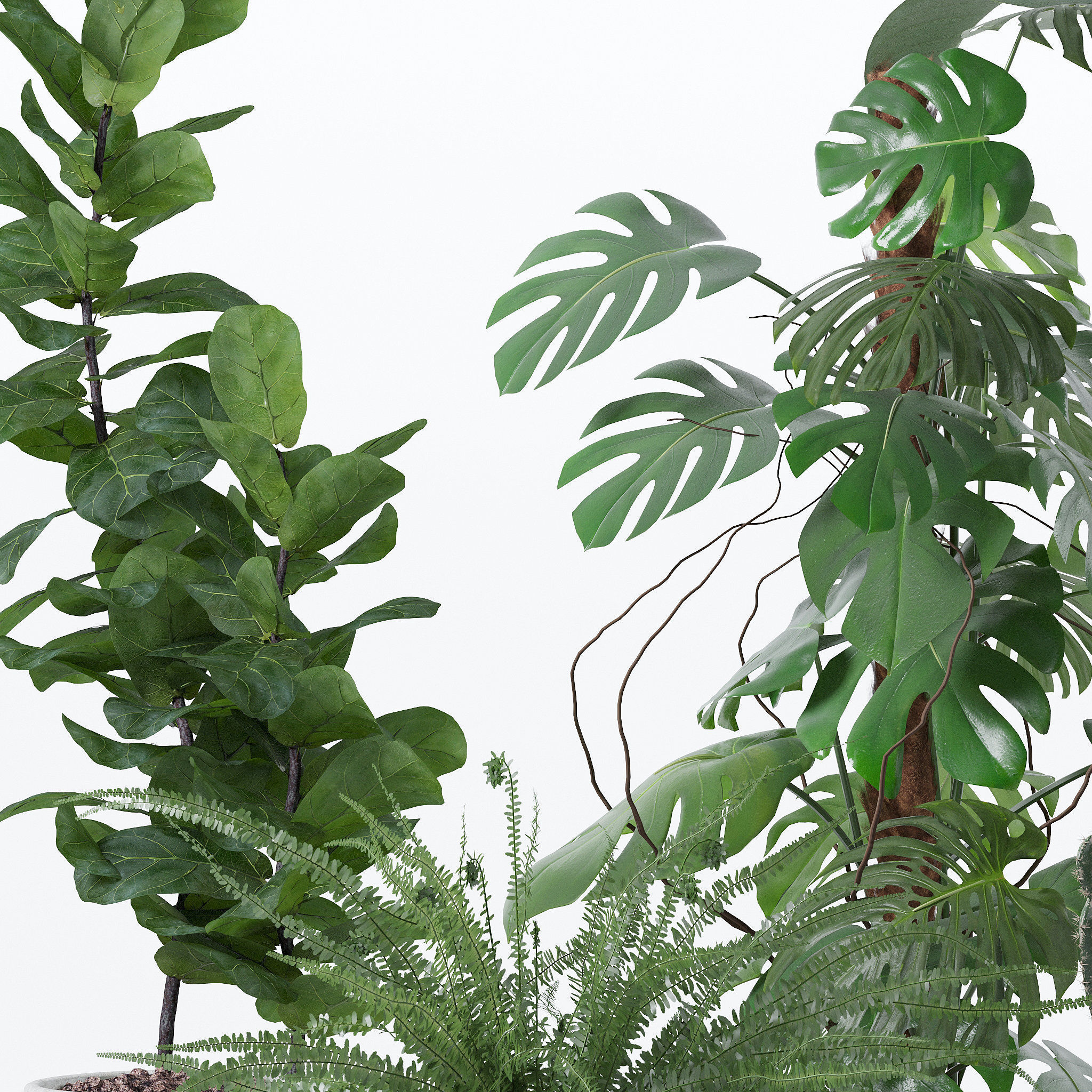 20 Photorealistic Flowers for Interiors - set 118- 121- 125- 128 3D Model Collection_13