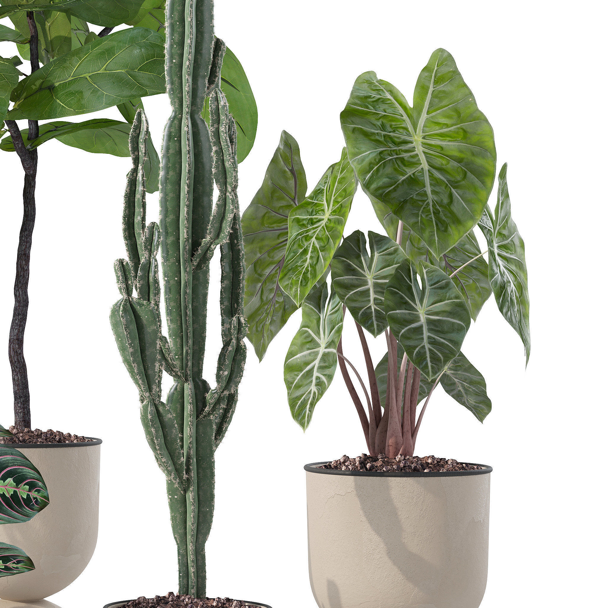 20 Photorealistic Flowers for Interiors - set 118- 121- 125- 128 3D Model Collection_23