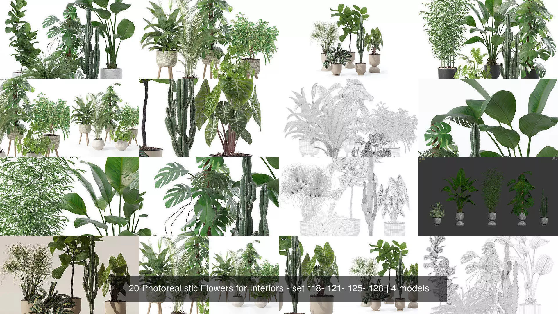 20 Photorealistic Flowers for Interiors - set 118- 121- 125- 128 3D Model Collection_1