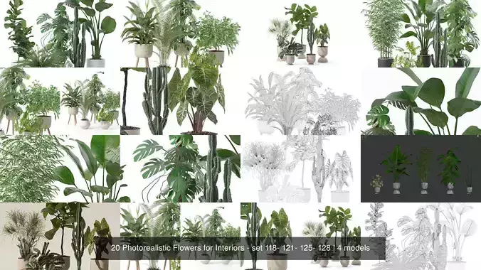 20 Photorealistic Flowers for Interiors - set 118- 121- 125- 128