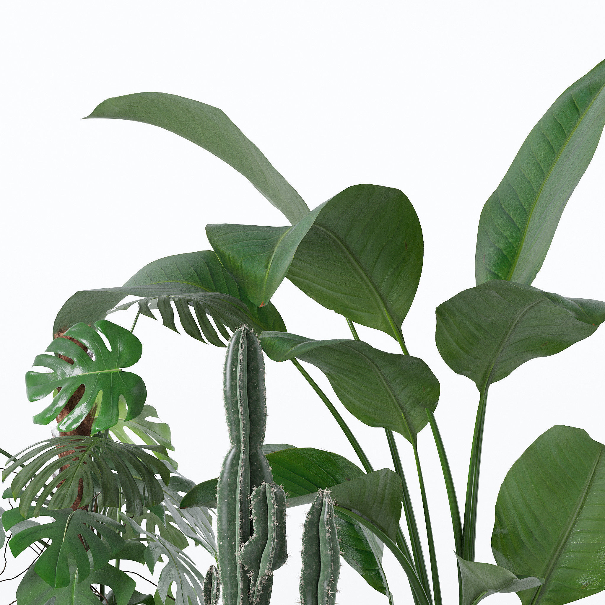 20 Photorealistic Flowers for Interiors - set 118- 121- 125- 128 3D Model Collection_12