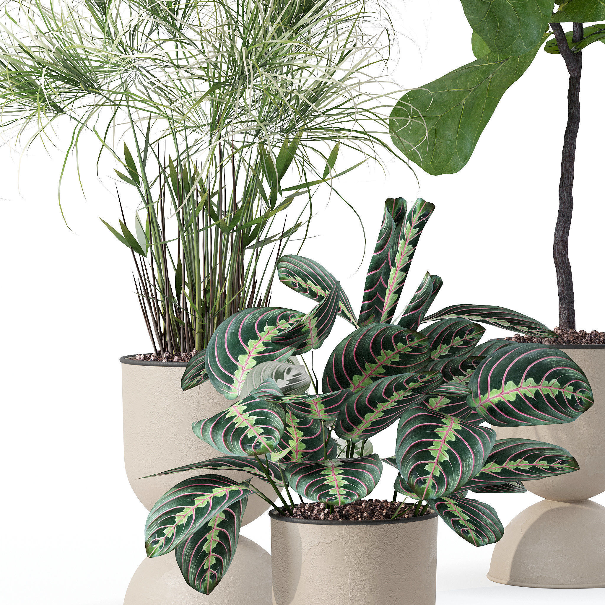 20 Photorealistic Flowers for Interiors - set 118- 121- 125- 128 3D Model Collection_22