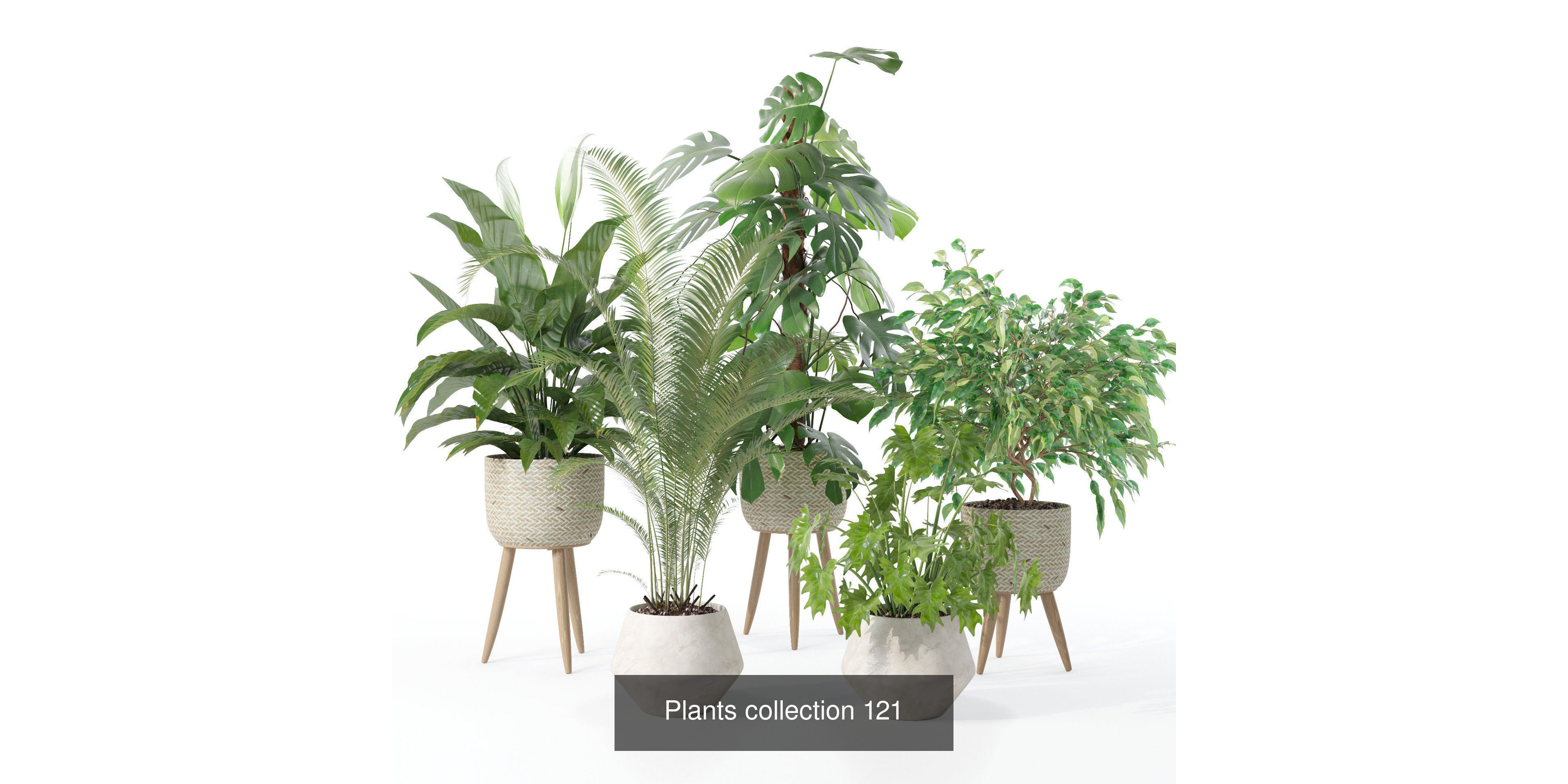 20 Photorealistic Flowers for Interiors - set 118- 121- 125- 128 3D Model Collection_4