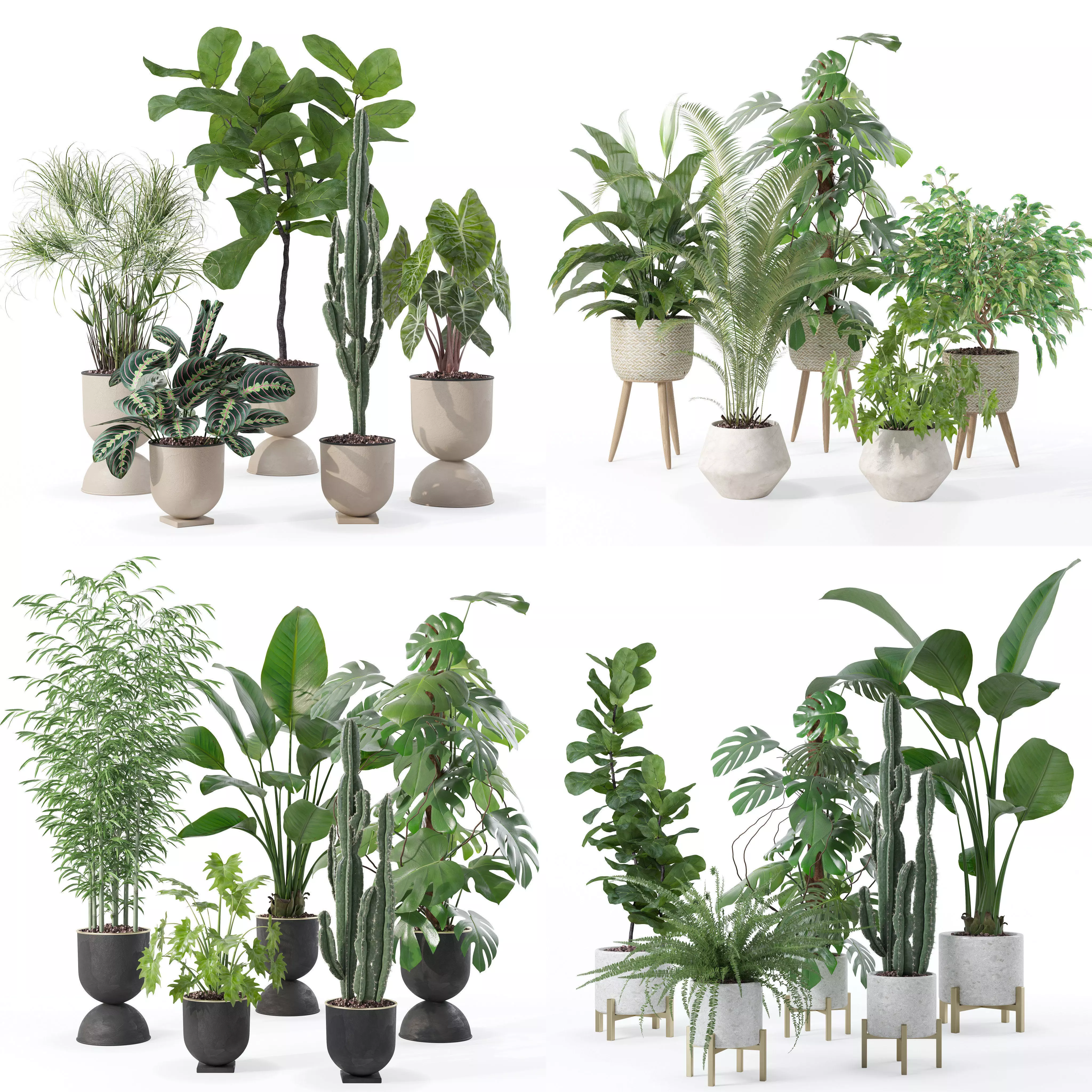 20 Photorealistic Flowers for Interiors - set 118- 121- 125- 128 3D Model Collection_0