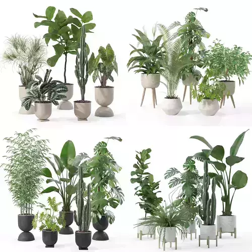 20 Photorealistic Flowers for Interiors - set 118- 121- 125- 128 3D Model Collection
