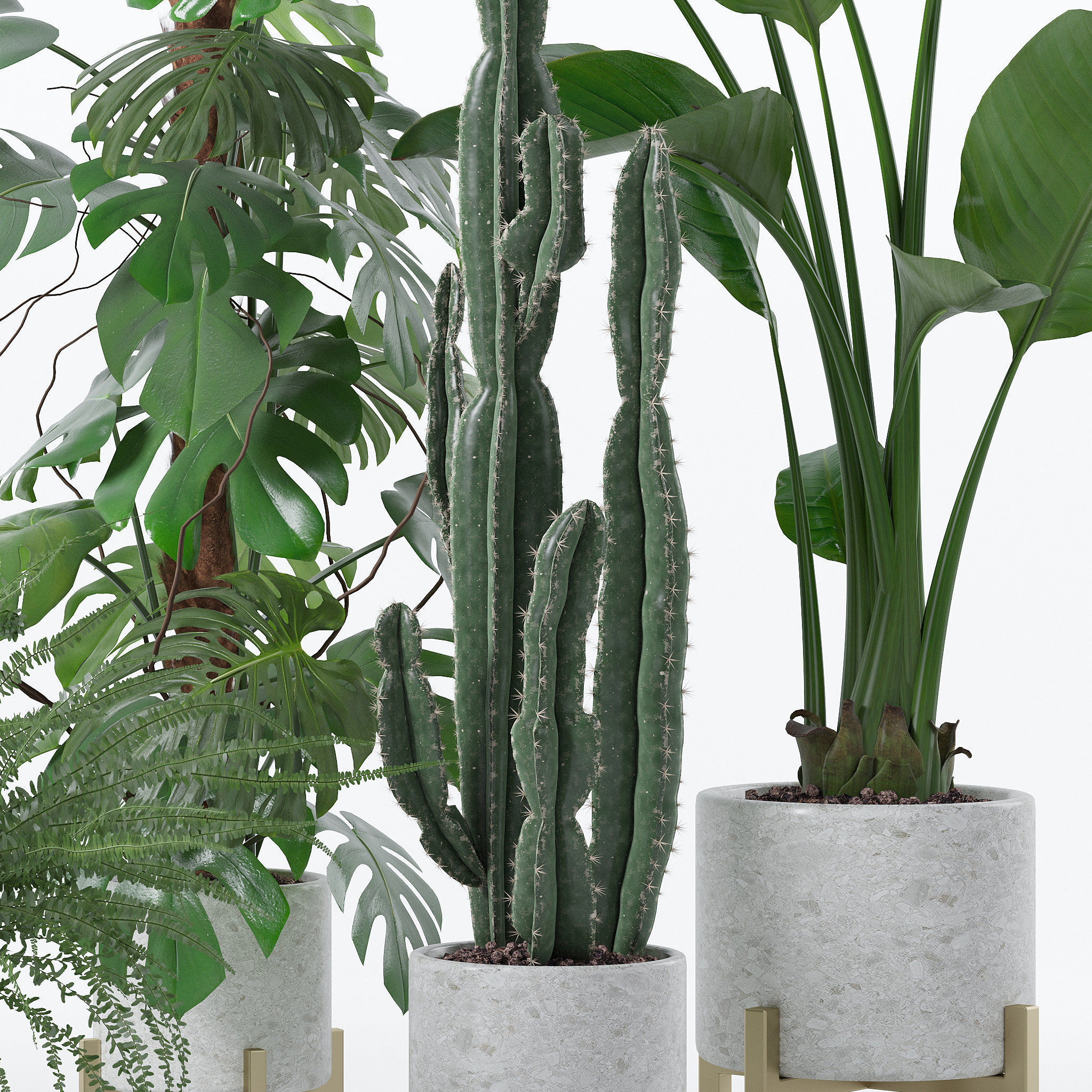 20 Photorealistic Flowers for Interiors - set 118- 121- 125- 128 3D Model Collection_14