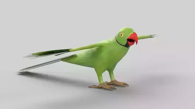 parrot flying in air
