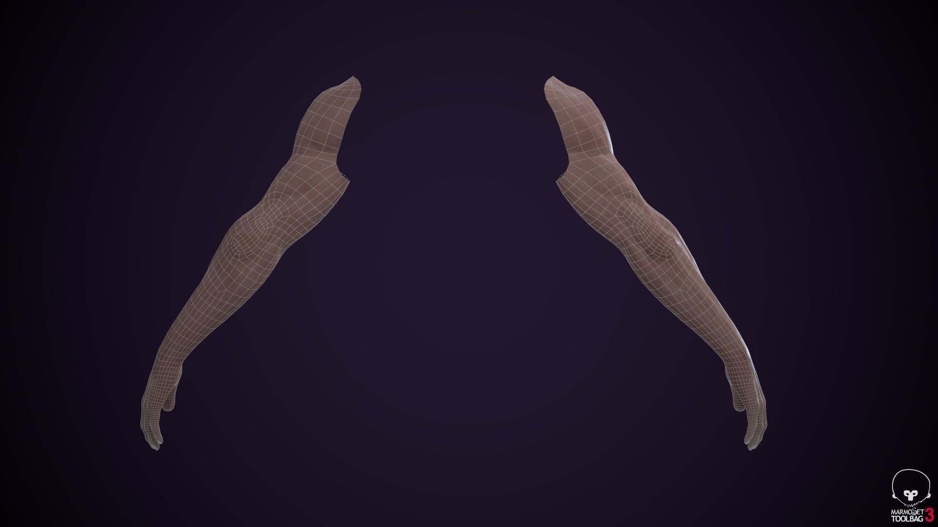 Two Arms Rigged  Low-poly 3D model_12