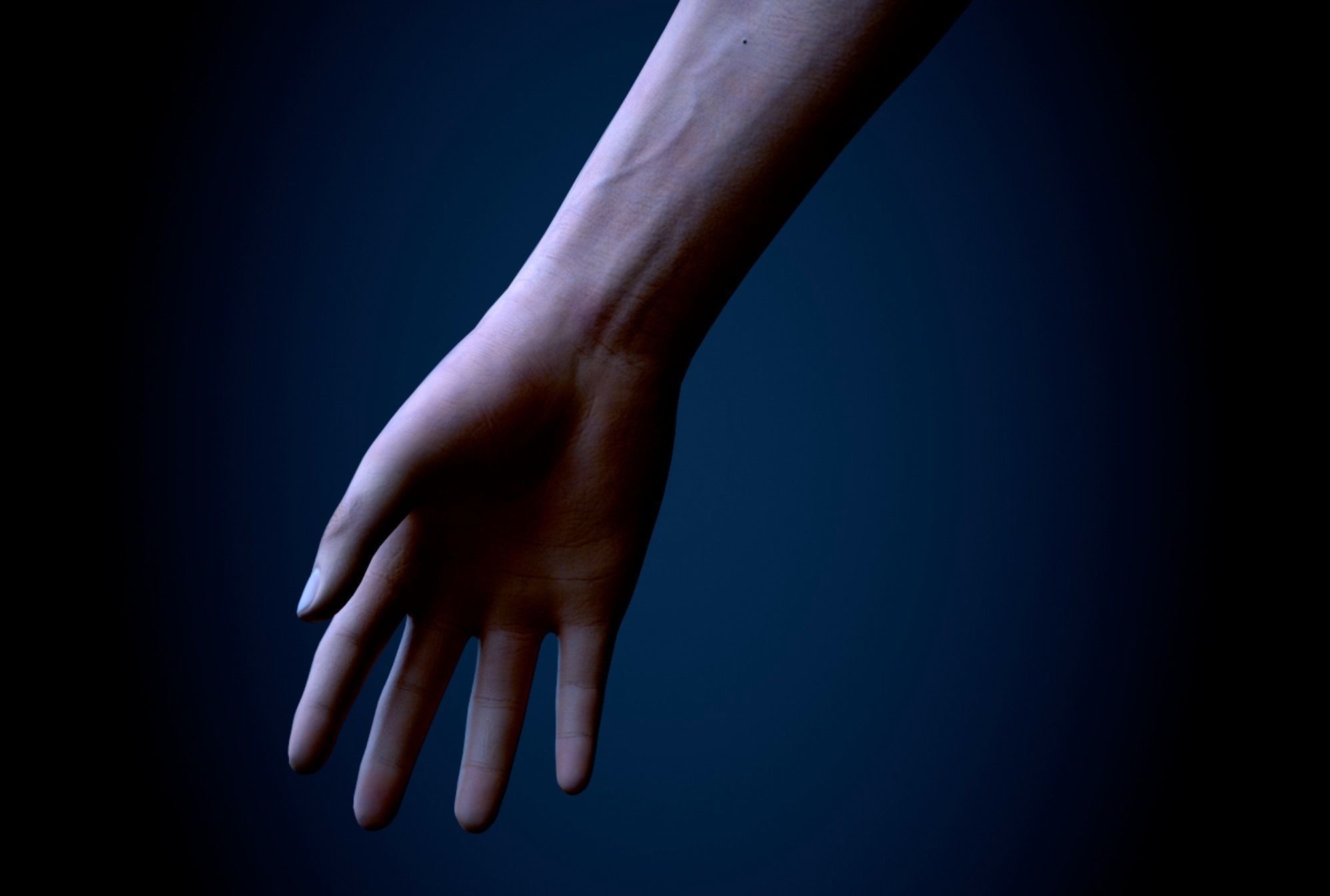 Two Arms Rigged  Low-poly 3D model_7