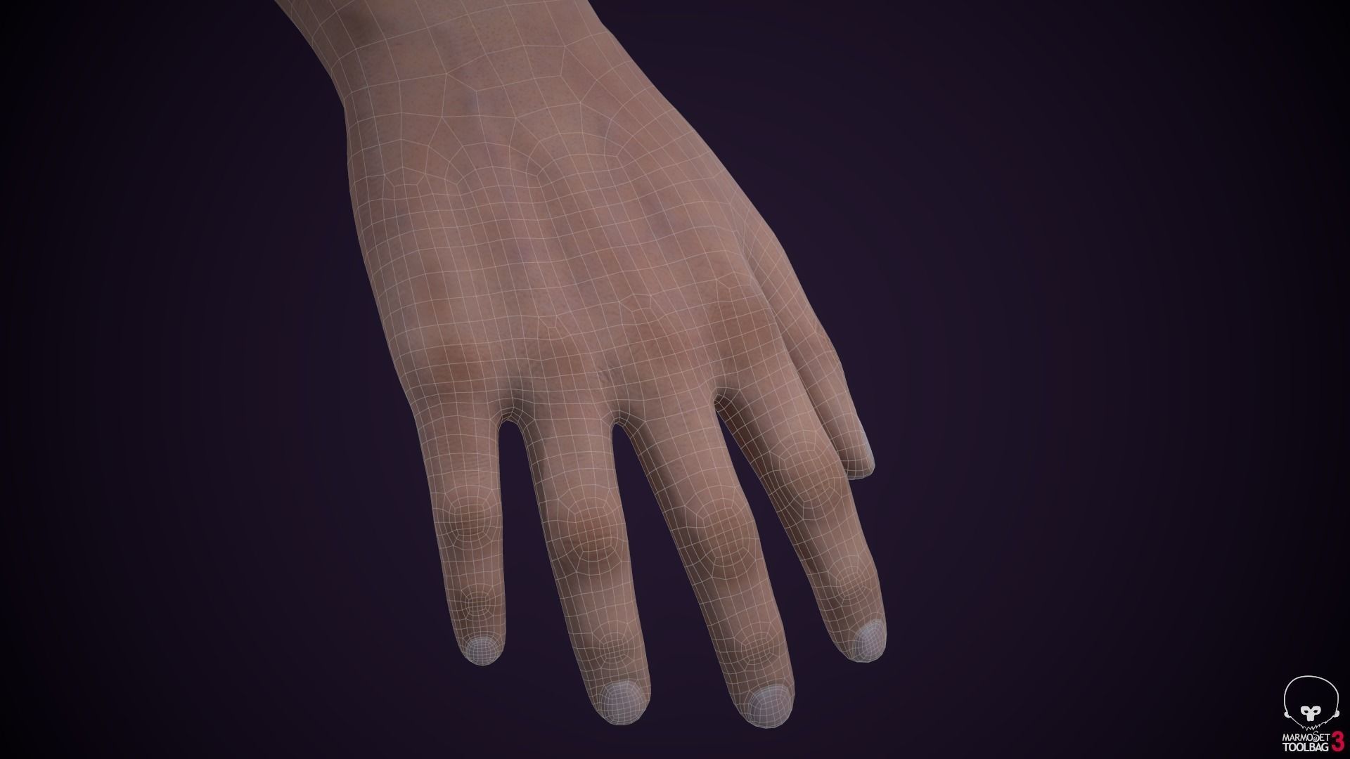 Two Arms Rigged  Low-poly 3D model_13