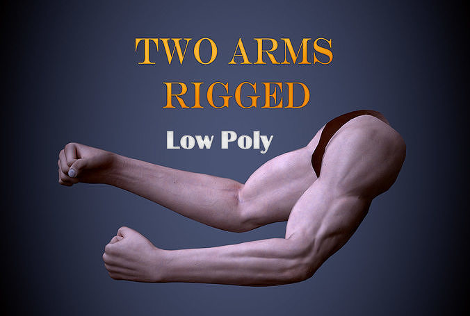 Two Arms Rigged  Low-poly 3D model