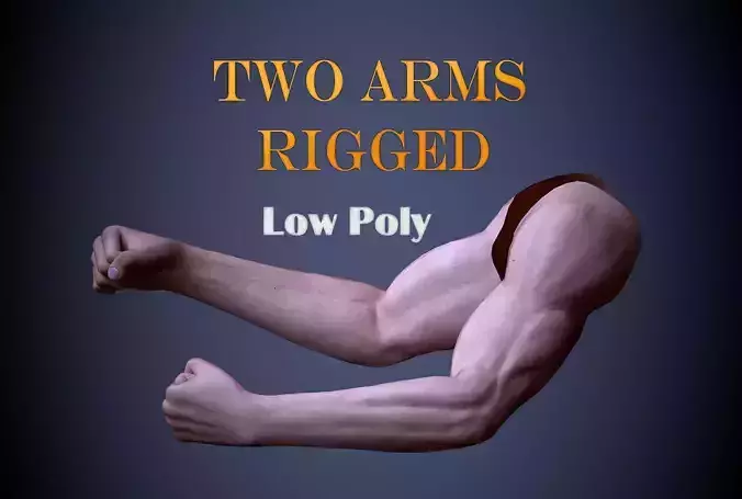 Two Arms Rigged  Low-poly 3D model