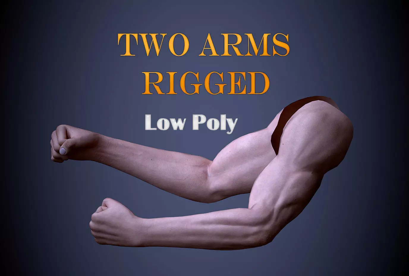 Two Arms Rigged  Low-poly 3D model_0