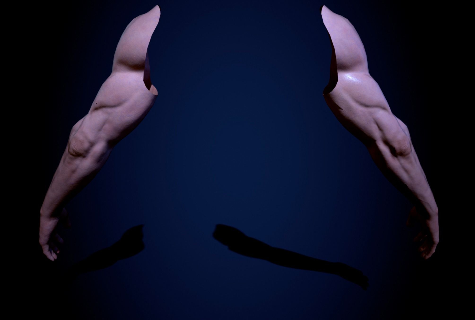 Two Arms Rigged  Low-poly 3D model_6