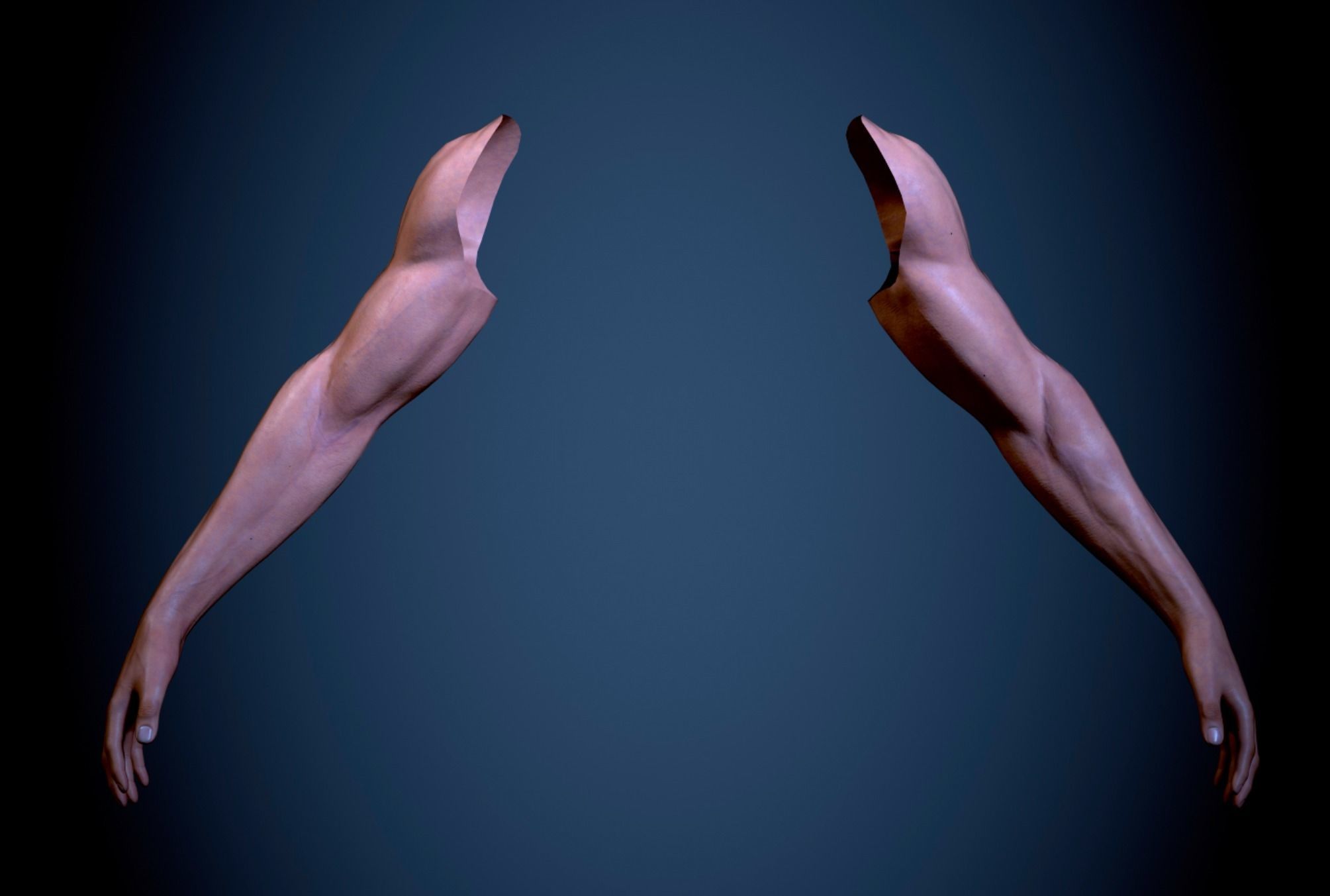 Two Arms Rigged  Low-poly 3D model_2