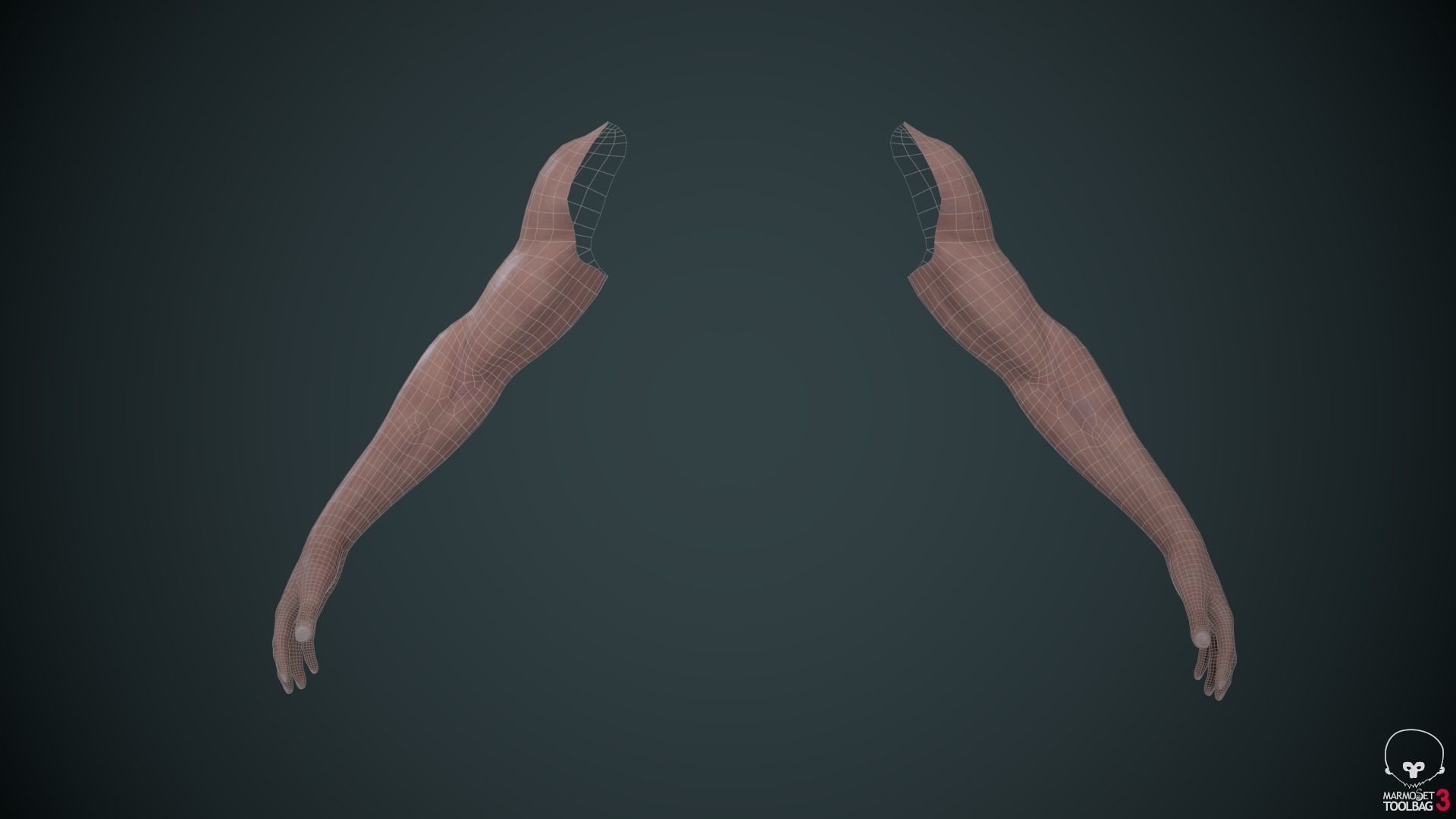 Two Arms Rigged  Low-poly 3D model_10