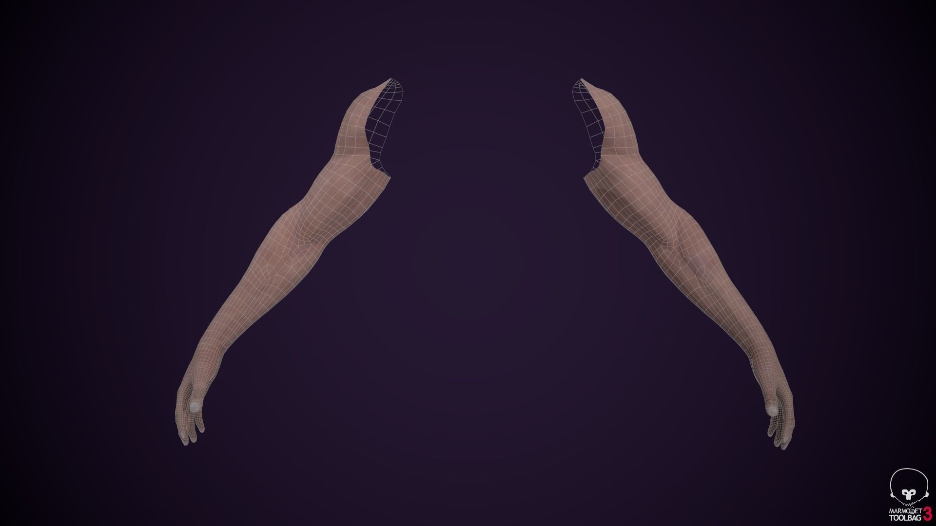 Two Arms Rigged  Low-poly 3D model_11