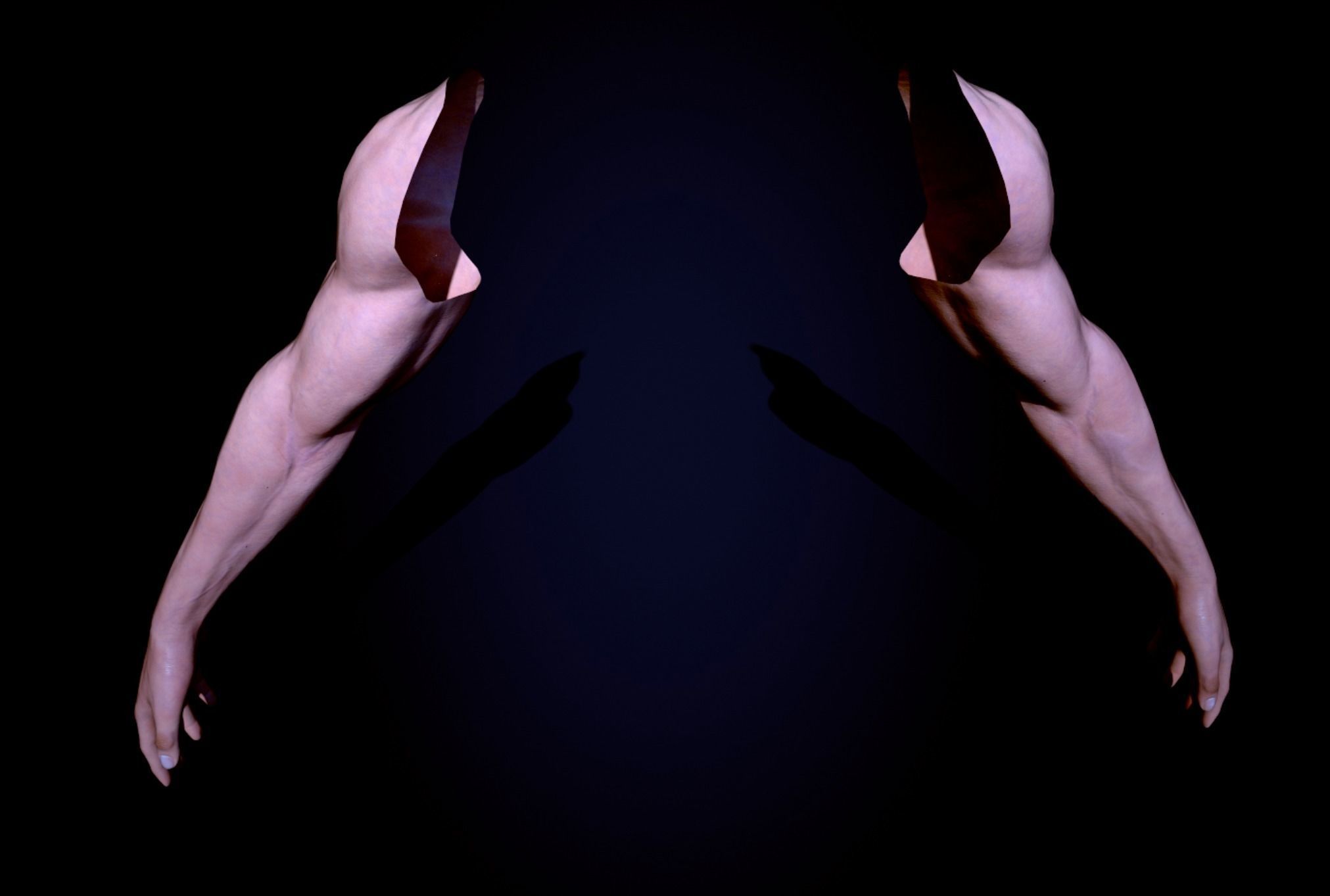 Two Arms Rigged  Low-poly 3D model_4