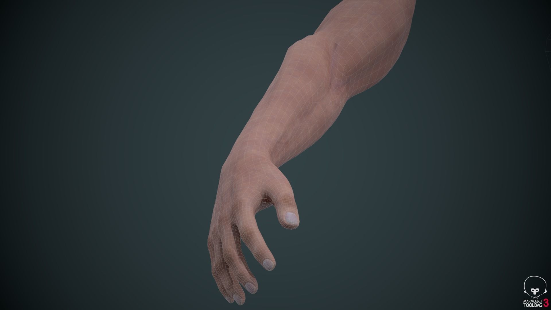 Two Arms Rigged  Low-poly 3D model_14