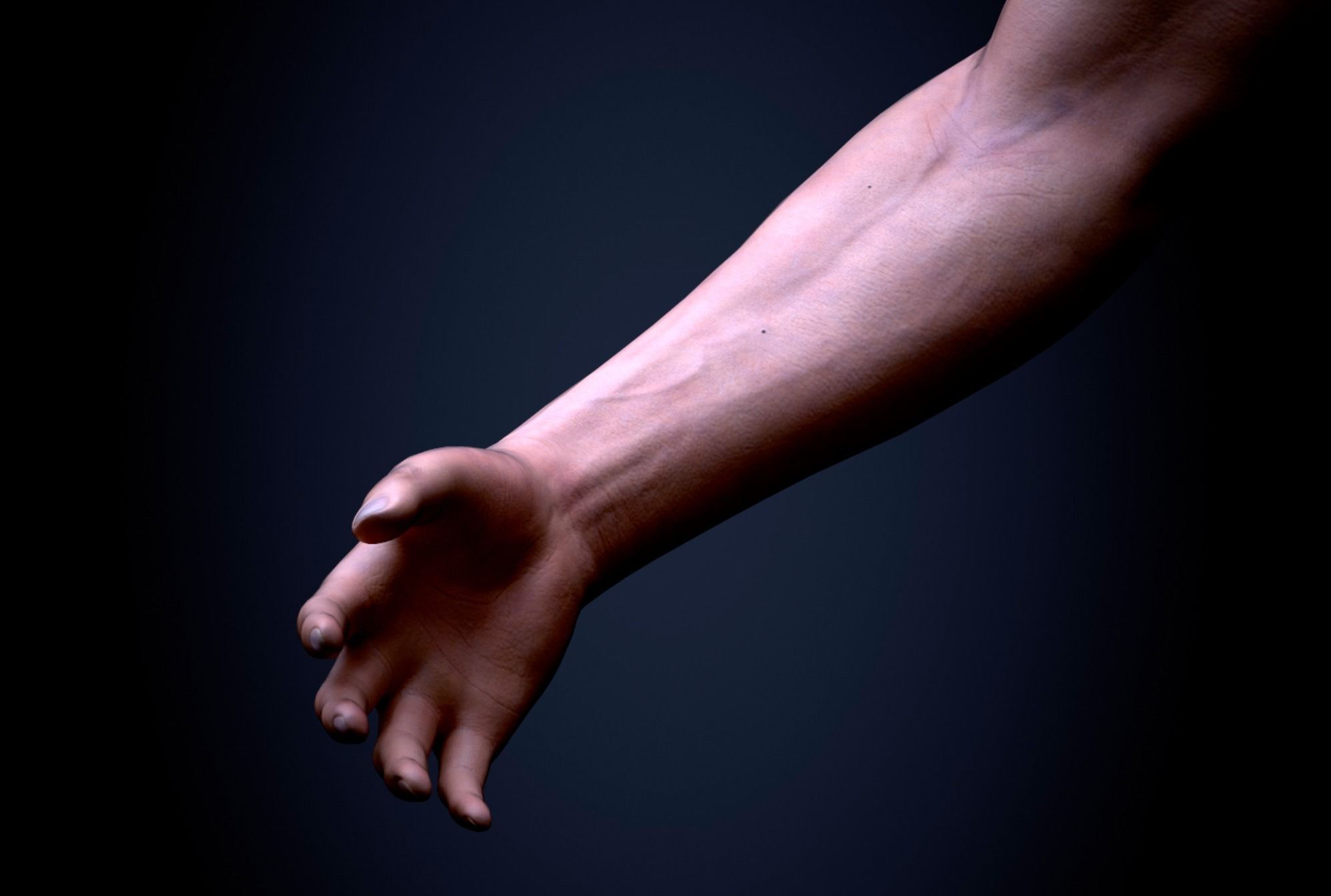 Two Arms Rigged  Low-poly 3D model_9