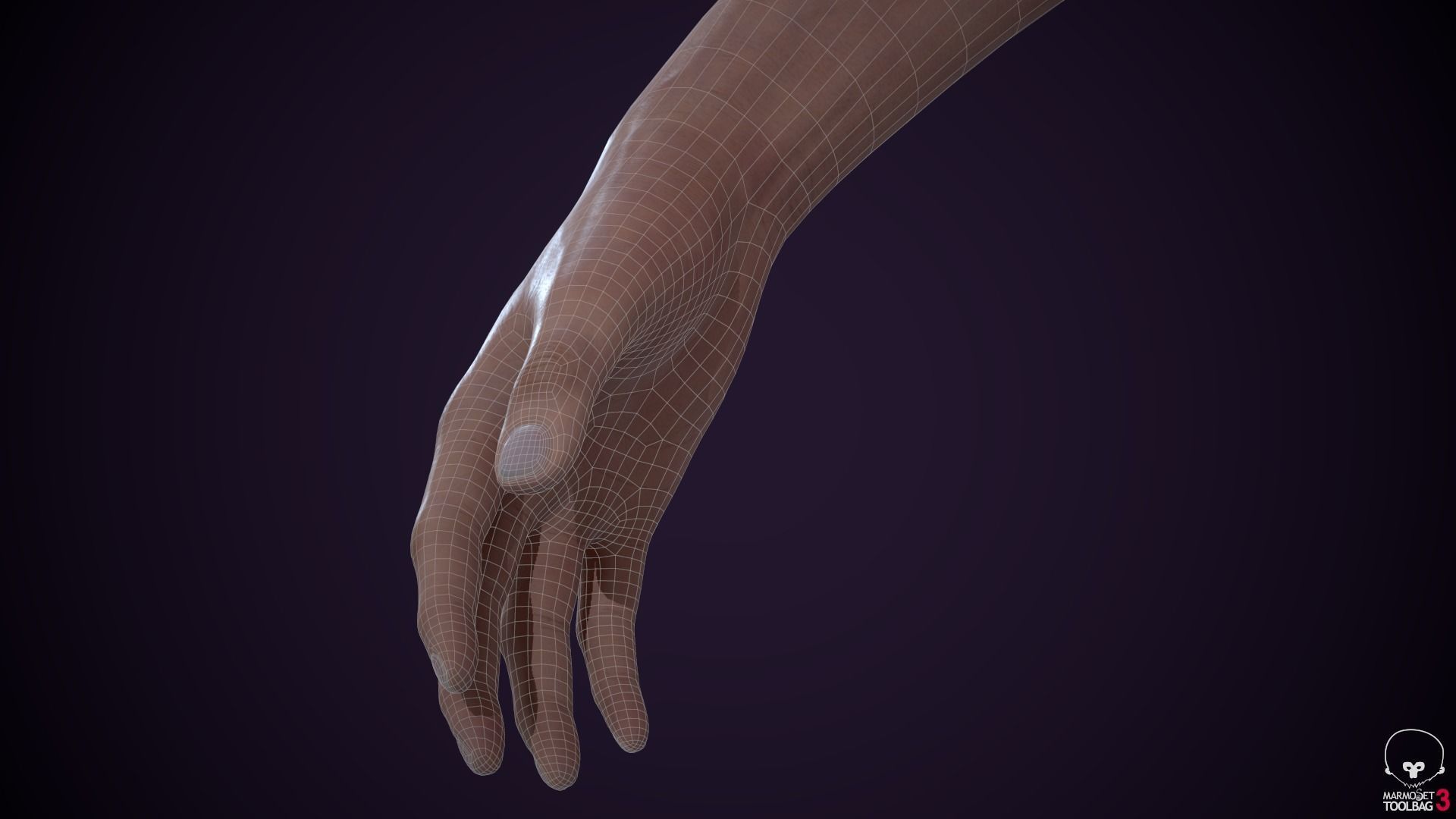 Two Arms Rigged  Low-poly 3D model_15