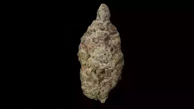 Cannabis Bud Low Poly 3D Model Low-poly 3D model