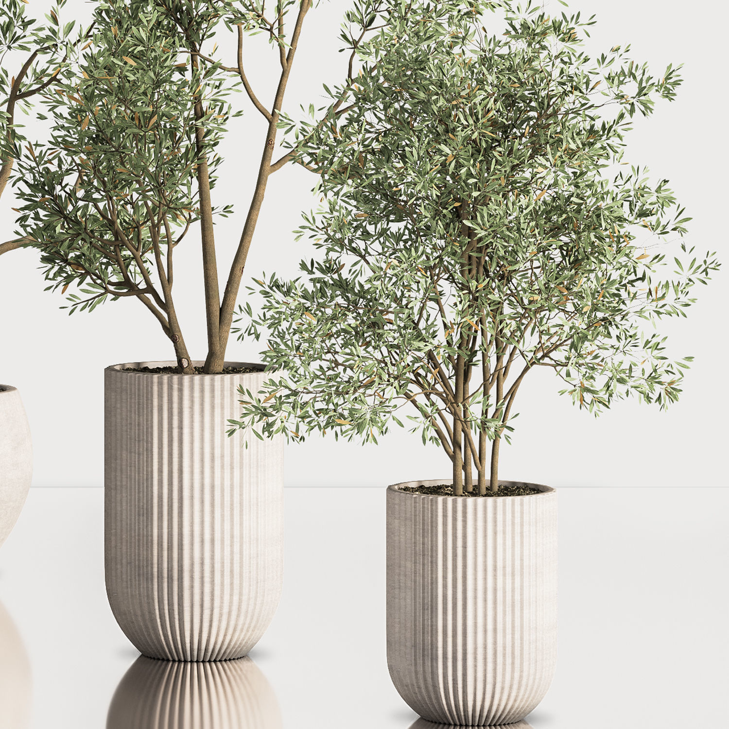 IndoorPlantSet37 five trees in vases 3D model_3