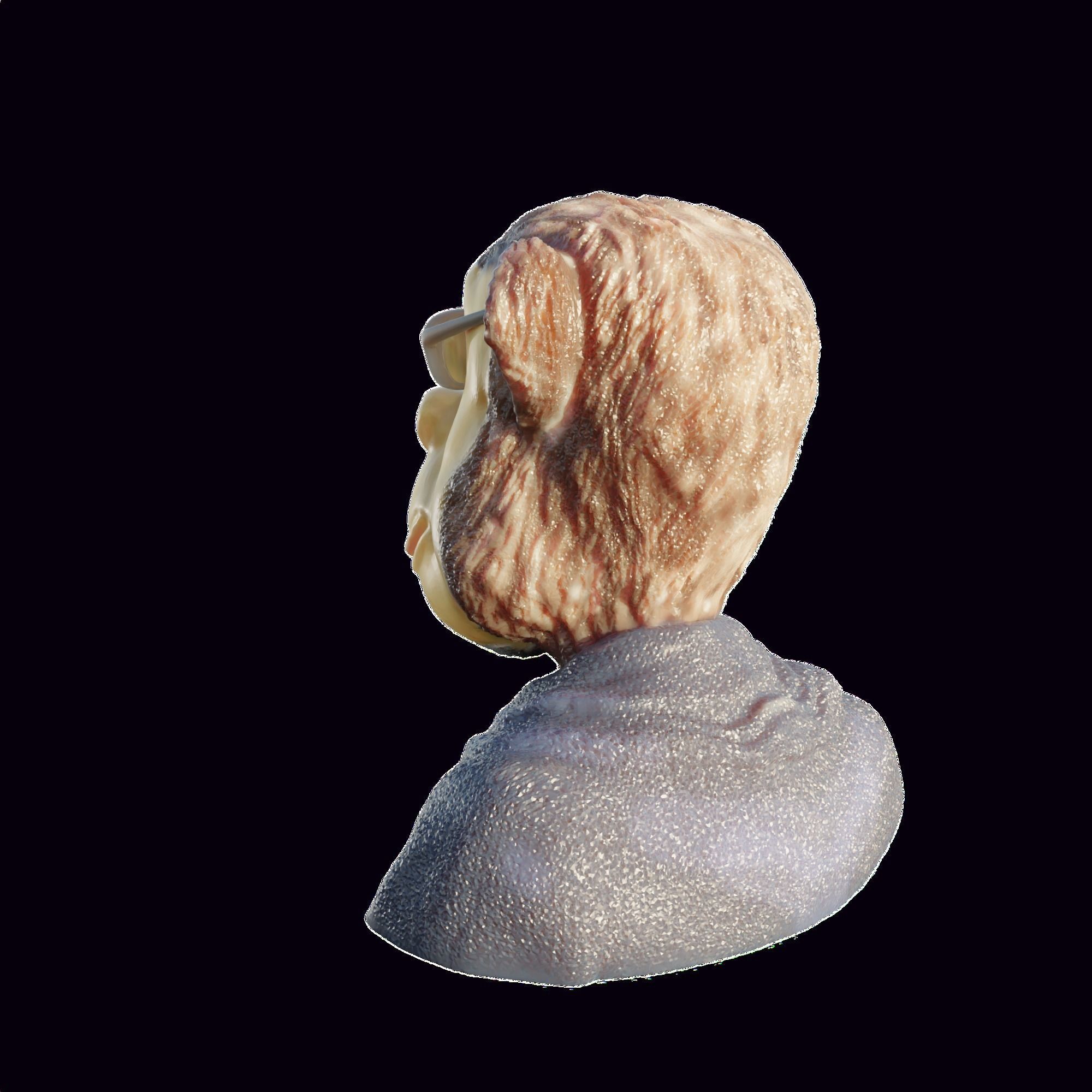 NFT Monkey Chripto Coin Character  3D print model_3