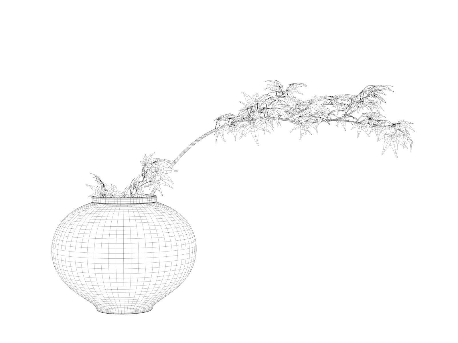 Vase with Plant 5 3D model_3