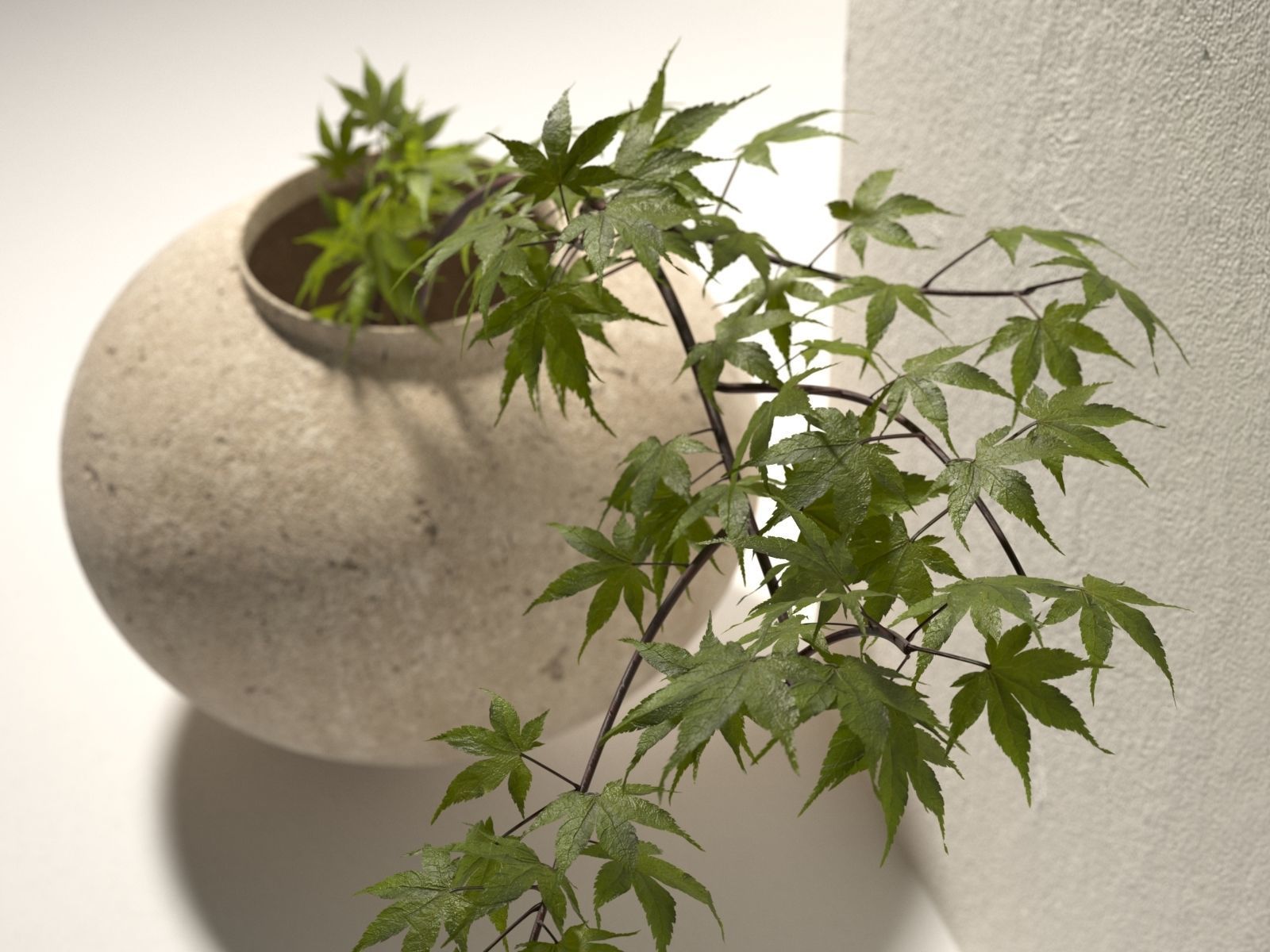 Vase with Plant 5 3D model_2