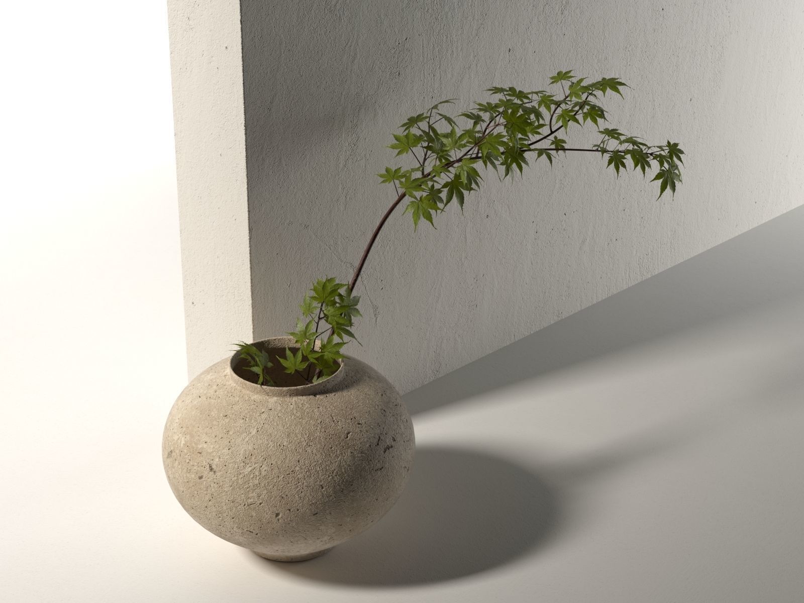 Vase with Plant 5 3D model_1