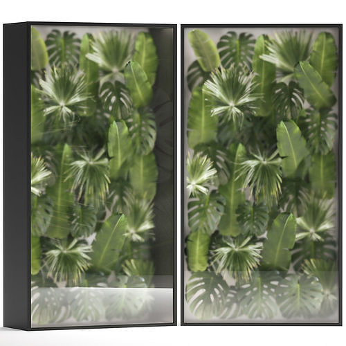 Vertical Garden From Plant Branches In A Phytobox 3D model