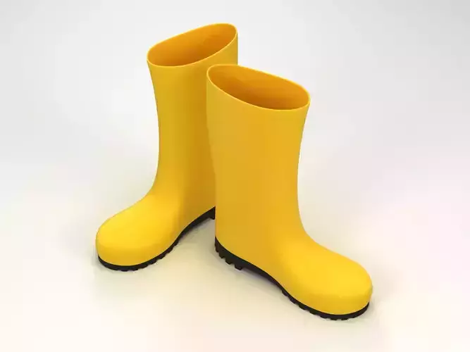 Wellington Rain Boots