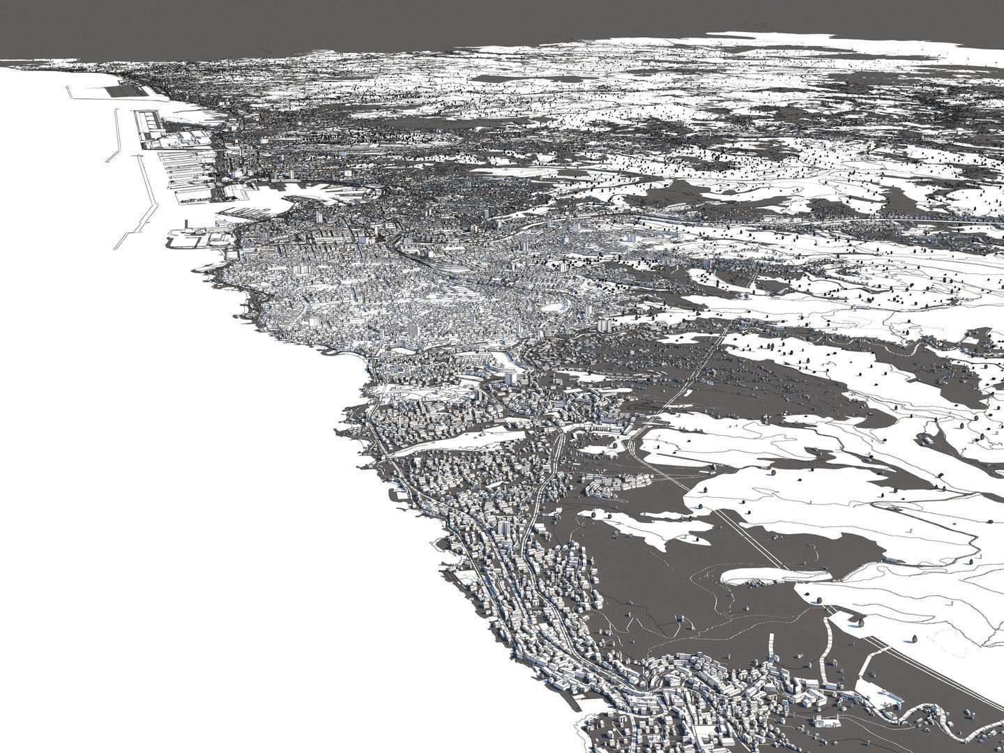 Genoa Italy 50x50km City Map 3D Model 3D model_26
