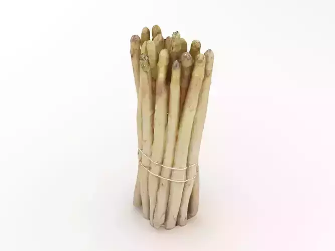 Asparagus Bunch White 3D model