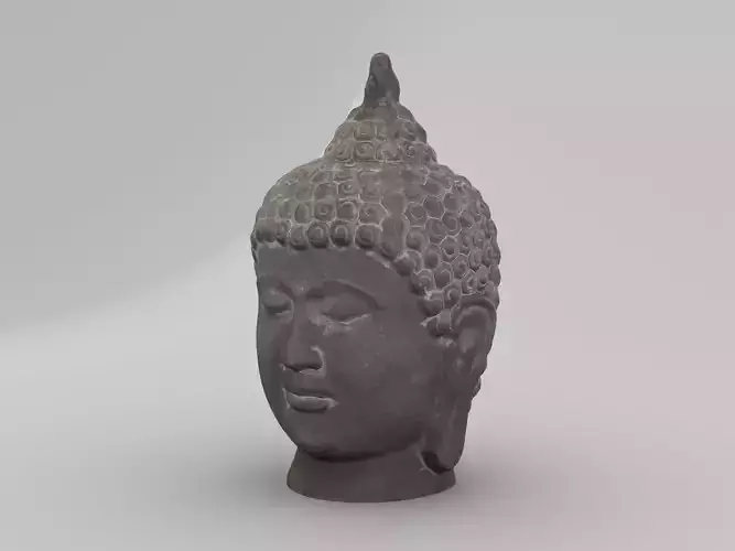 Buddha Head Statue 003