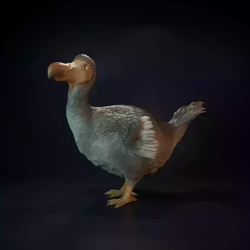 Dodo standing 3D print model