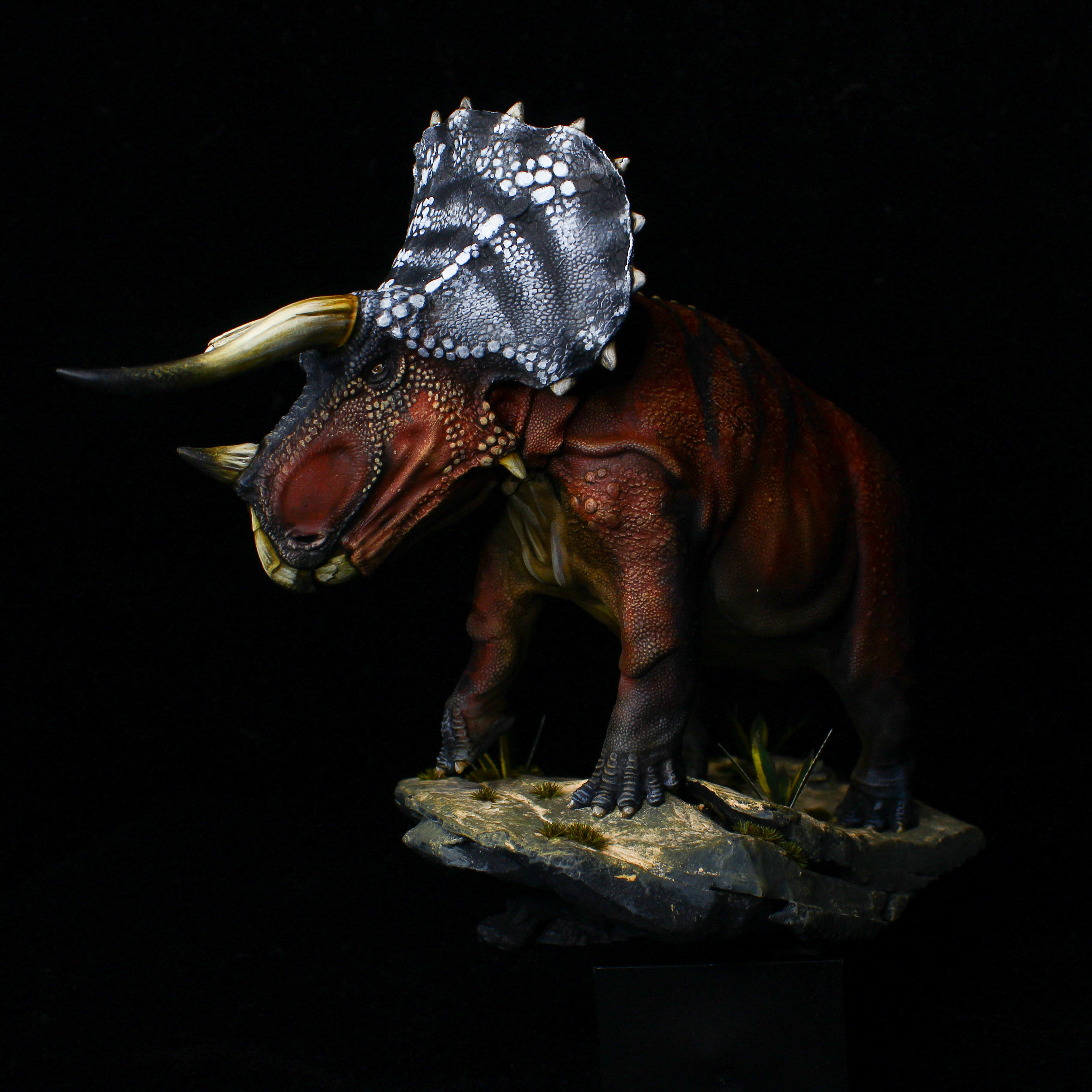 Triceratops old bull 3D print model_3